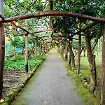 Relais Correale & Garden Alojamento de Acomodação e Pequeno-almoço Sorrento