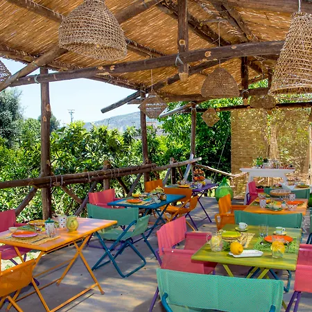 Bed & Breakfast Relais Correale & Garden 3*