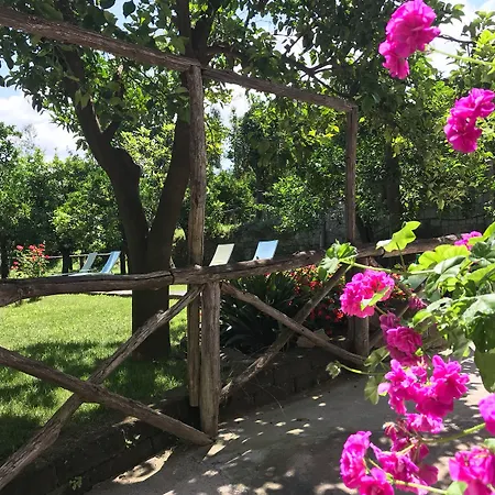 Relais Correale & Garden Bed & Breakfast 3*