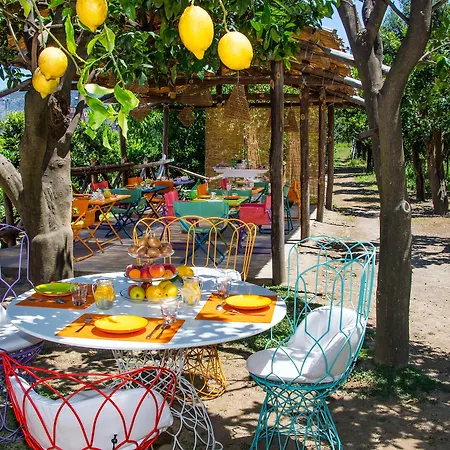 Bed & Breakfast Relais Correale & Garden 3*