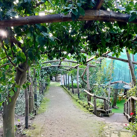 Relais Correale & Garden 3*