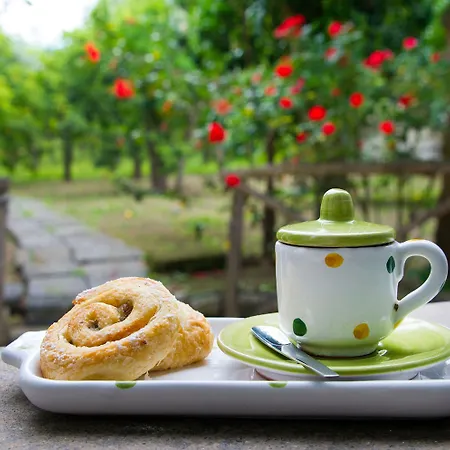 Bed & Breakfast Relais Correale & Garden 4*