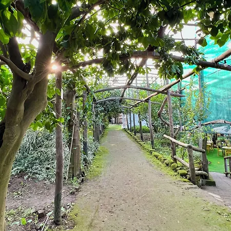 Bed & Breakfast Relais Correale & Garden Sorrento