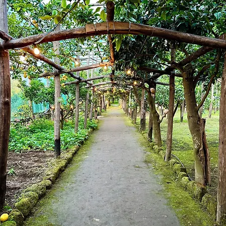 Relais Correale & Garden Bed & Breakfast Sorrento