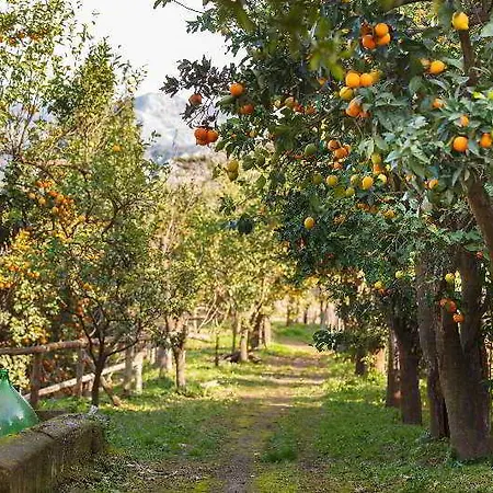 Relais Correale & Garden